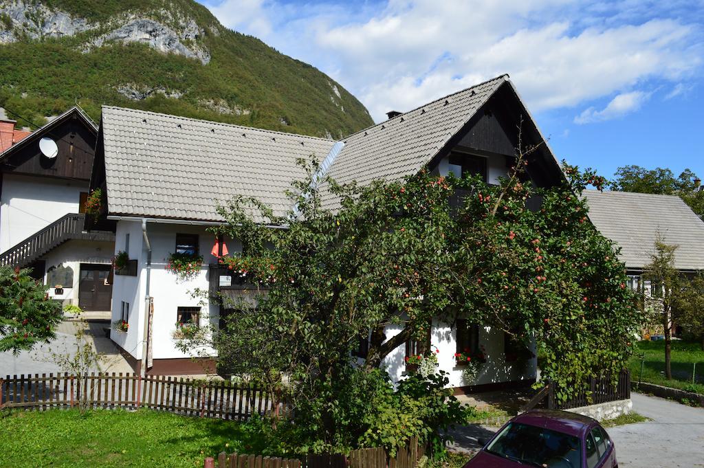 Hisa Plansar Bohinj Accommodations エクステリア 写真