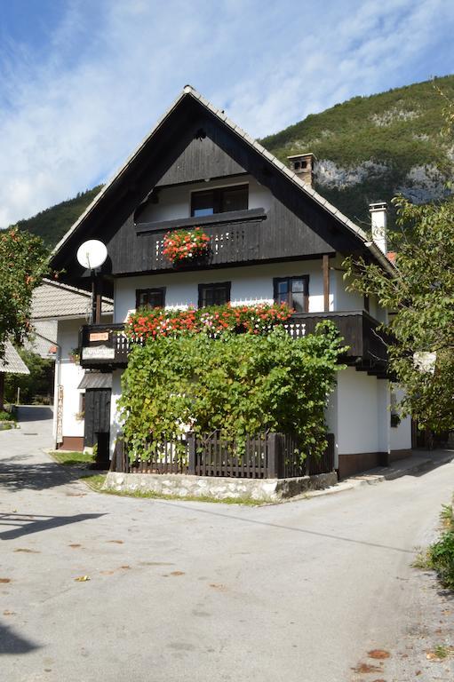 Hisa Plansar Bohinj Accommodations エクステリア 写真